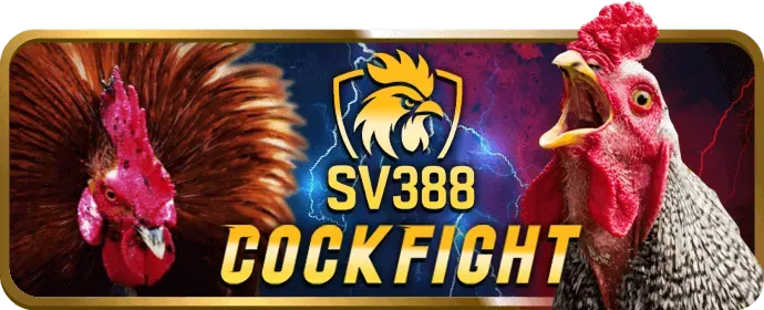 Bước 3 Chọn trận và đặt cược